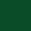 Плоский лист окрашенный RAL 6035 Перламутрово-зеленый СТиВ