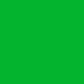 Плоский лист окрашенный RAL 6038 Люминесцентный зеленый СТиВ